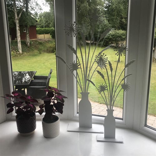 Pampasgräs 60cm och 80 cm