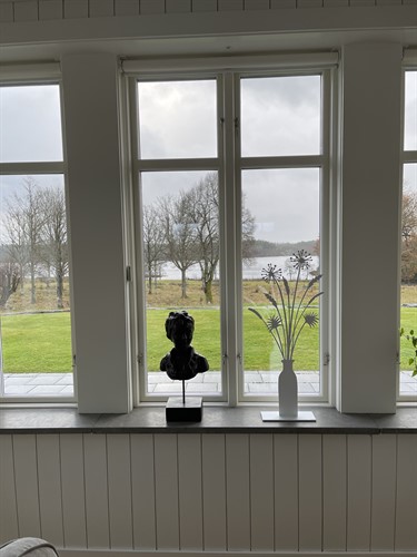 Pampas grass in a window