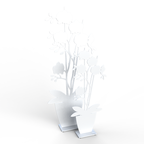 Orchid black and white