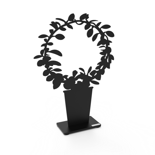 Hoya in a circle 30 cm black structure