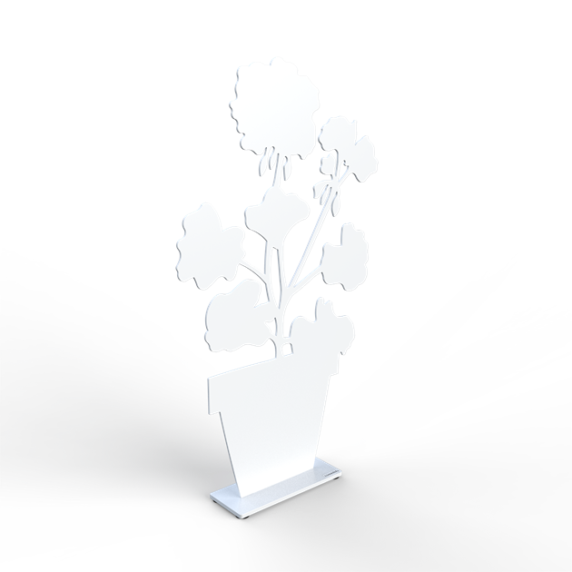 Geranium 50 cm white