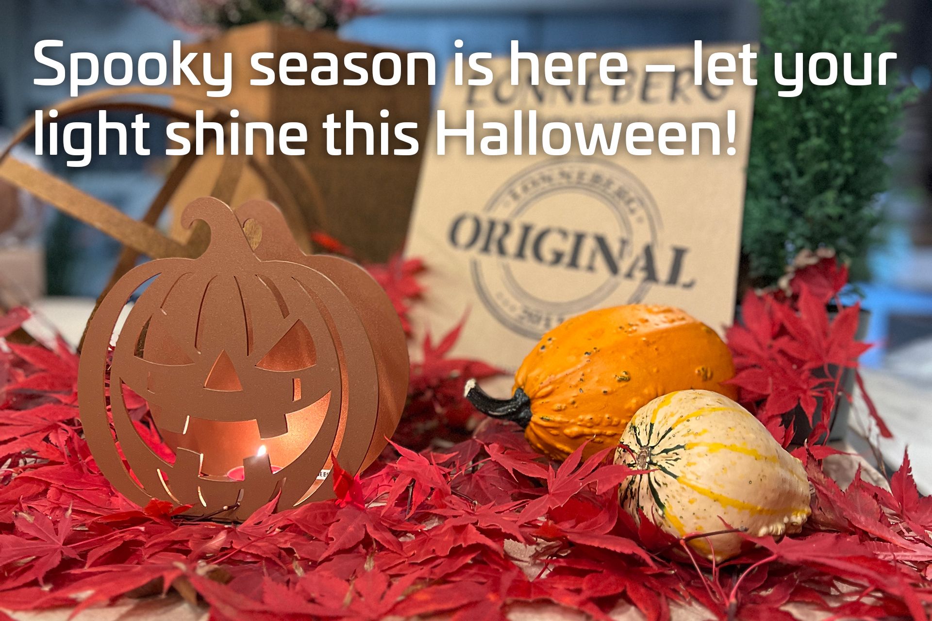 Design that brings your home to life